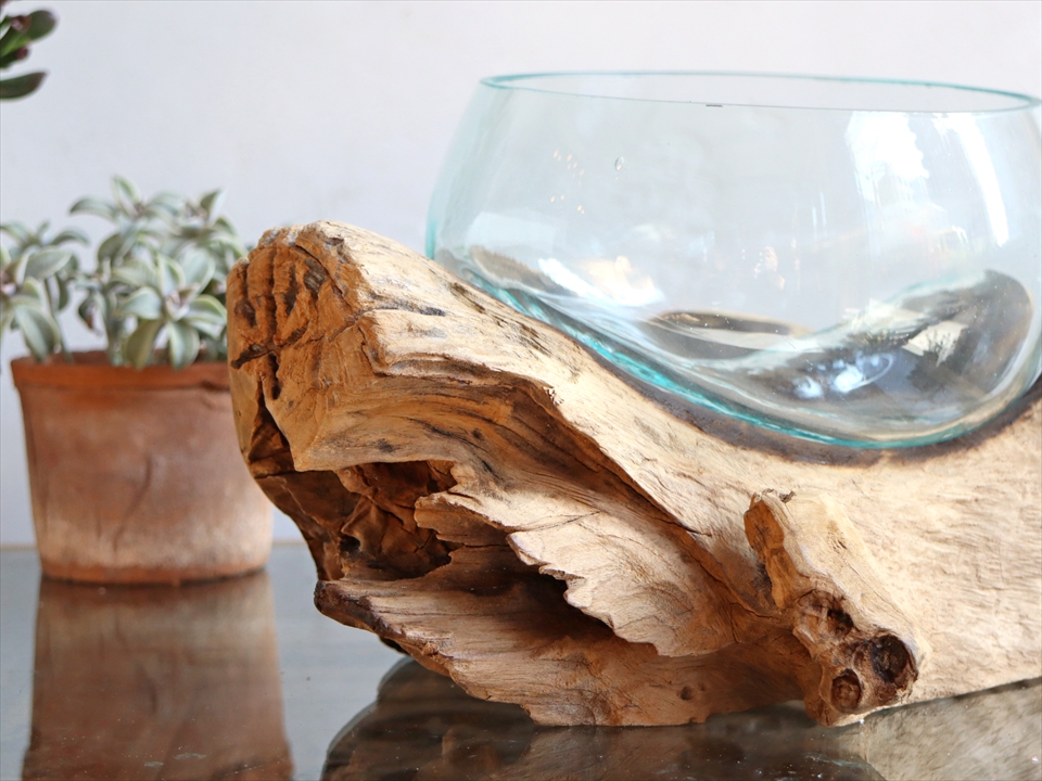 流木 フラワーベース 花瓶 H17xw29xd29cm 現品 ガラスベース Glass Planter Flower Vase ガラタバザール